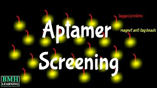 Aptamer Screening  Selection amp Enrichment Of Aptamers [upl. by Melc]