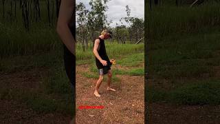 The Australian Frilled Dragon full video out now frilleddragon lizard shorts australia [upl. by Ahael]