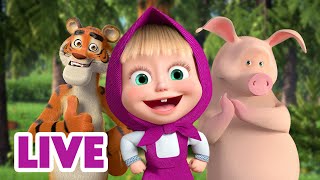 🔴 LIVE STREAM 🎬 Masha and the Bear 🤸‍♂️ Jump Skip and Hop together 🏃🙌 [upl. by Elauqsap]