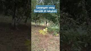 Larangan Nabi yg masih banyak di lakukan shortvideo alam nature [upl. by Aldrich]