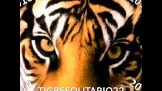 LA TEMPORADA ES BUENA  LOS TIGRES DEL NORTE ESTUDIO [upl. by Neuburger]