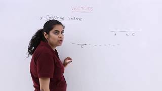 Class 12th – Collinear Vectors  Vector Algebra  Tutorials Point [upl. by Uel]