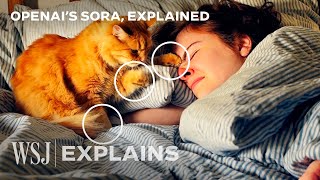 OpenAI’s Sora How to Spot AIGenerated Videos  WSJ [upl. by Dre127]