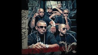 Mix Los Vaqueros Wisin amp Yandel [upl. by Lucania]