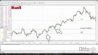 Use Fractals To Pinpoint Reversals In Forex [upl. by Eciral]