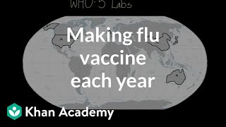 Making flu vaccine each year  Infectious diseases  Health amp Medicine  Khan Academy [upl. by Aisylla]