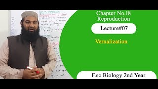 Biology Ch18Lecture07 Vernalization FSc 2nd Year [upl. by Ahsemot]