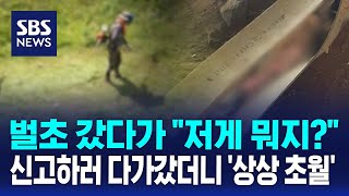 벌초 갔다가 quot저게 뭐지quot…신고하러 다가갔더니 상상 초월  SBS  오클릭 [upl. by Lyndsey490]