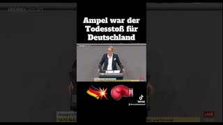 Alice Weidel zur Ampel Regierung💥⚡️ [upl. by Elfrida876]