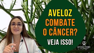 Aveloz combate o câncer Veja isso [upl. by Vadnee]