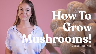 How to Grow Mushrooms  DoubleBlind [upl. by Navar607]