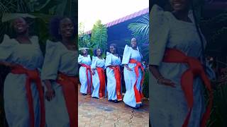 Acholi African wedding traditional dance [upl. by Chapnick]