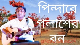 Pindare Polasher Bon  পিন্দারে পলাশের বন Chords Strumming [upl. by Ydaf521]