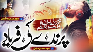 Urdu GhazalNazamparinday ki faryadaata hai yaad mujhko guzra hua zamanaAllama IqbalGojol [upl. by Paulita230]