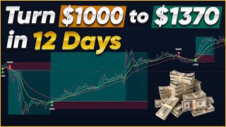 Profitable Scalping Strategy 37 Growth in 12 Days [upl. by Paco]