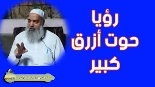 رؤيا حوت ازرق كبير  الشيخ خالد المغربى [upl. by Udela]