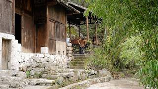 Leaving the City  Poor Boy Renovates and Transforms an Abandoned House in the Mountains Timelapse [upl. by Briant]