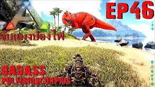 BGZ  ARK Survival Evolved EP46 จับเเมงป่องไฟ badass pulmonoscorpius [upl. by Edric127]