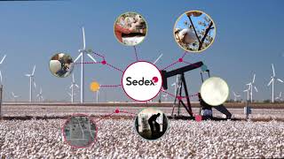 Sedex  Empowering responsible supply chains [upl. by Latini]