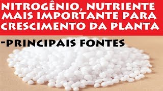 Nitrogênio Aprenda tudo sobre o Principal nutriente para as plantas [upl. by Niledam]