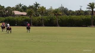 The Sterling Cup  Audi vs Maltese Falcons vs Newport  Apr 26th 2024 [upl. by Rachaba520]