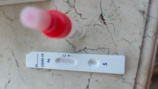 How to use saliva test kit [upl. by Leena]