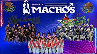 Banda Machos Banda Maguey Banda ArKangel R15 II Las canciones más inolvidables [upl. by Ettelrats]