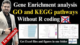 How to perform gene enrichment GO and KEGG pathways analysis with SR plot [upl. by Lienad]