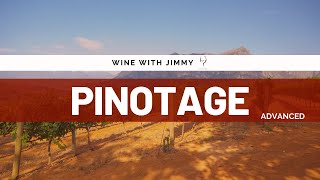 Grape Varieties  Pinotage Advanced Version ideal for WSET Level 3 and Level 4 WSET Diploma [upl. by Inama430]