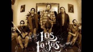 Los Lobos Cumbia Raza [upl. by Georgena175]