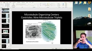 Histology of the Cytoskeleton and Epithelial Tissue part 1 [upl. by Obe]