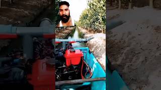 Mechanized water and fertilizer irrigation process for fruit trees automobile microirrigation diy [upl. by Guimond380]