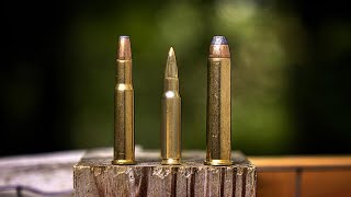 Best LeverAction Cartridges of all Time [upl. by Lapides]