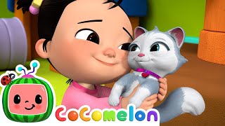 Cece Had a Little Cat  CoComelon Nursery Rhymes amp Kids Songs [upl. by Demeyer]