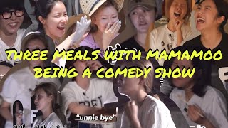 “three meals with mamamoo” being a comedy show  funny moments [upl. by Ferdinanda]