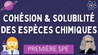 Cohésion et Solubilité des espèces chimiques  Première Spécialité Physique Chimie [upl. by Haliek]