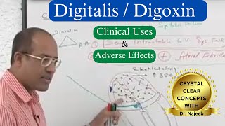 Digitalis  Digoxin Clinical Uses and Adverse Effects [upl. by Fabrianne53]