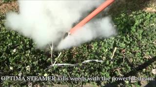 Organic Weed Control Demonstration Steam Weed Control Weed Removal [upl. by Schaumberger548]