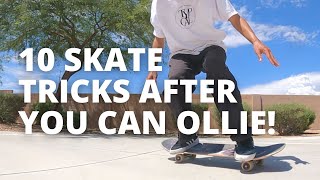 10 EASY Skate Tricks AFTER You Can Ollie INTERMEDIATE [upl. by Baniez]