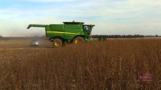 Sesame Production in Arkansas [upl. by Yaniv]