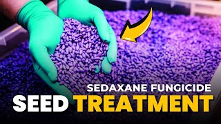 Sedaxane Fungicide Mode of Action Formulation Uses Dosage Safety Guidelines [upl. by Salomie]