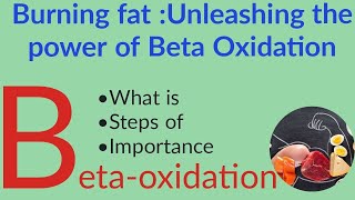 ⚡BetaOxidation of fatty acids Biochemistry⚡ Fatty acid oxidation⚡ ⚡Palmitic acid oxidation⚡ [upl. by Arehsat]