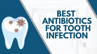 Best Antibiotics For Tooth Infection [upl. by Leanna]