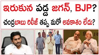 ఇరుకున పడ్డ జగన్ BJP  చంద్రబాబు రిలీజ్ తప్ప మరో అవకాశం లేదు  Chandrababu Arrest vs YS Jagan [upl. by Elyc]