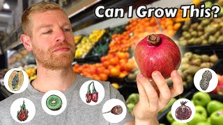 I Grew Fruit Trees from Store Bought Fruits and this is what happened  Full Tutorial [upl. by Graff268]