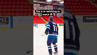 UNREAL Puck Juggling 🤝🏒 hockey [upl. by Meece39]