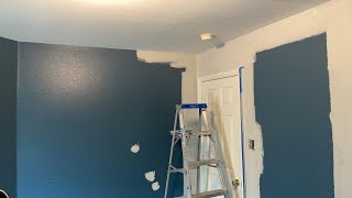 Painting Agreeable Gray SW 7029 Over Dark Blue [upl. by Lertnek]