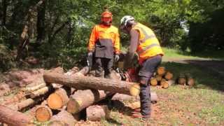 ECC1  Crosscutting timber European Chainsaw Certificate [upl. by Willin]