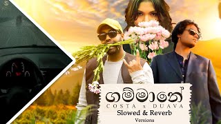 Costa x Duava  Gammane ගම්මානේ Slowed  Reverb Song  Prathap Costa  Vishal Daluwatte  Try It 🤍 [upl. by Kenny]