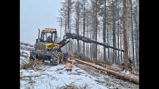 🌲Ponsse Ergo amp SNOW • Ponsse logging • HarvesterAction • Forestmachine • Alterauge • big trees🌲 [upl. by Toney]